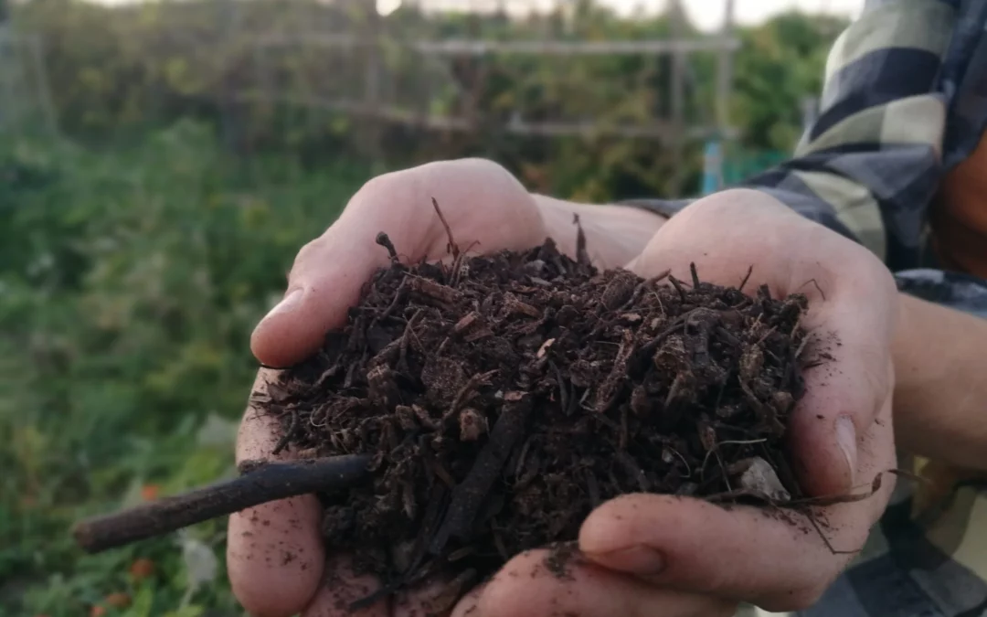 Notre compost à la vente