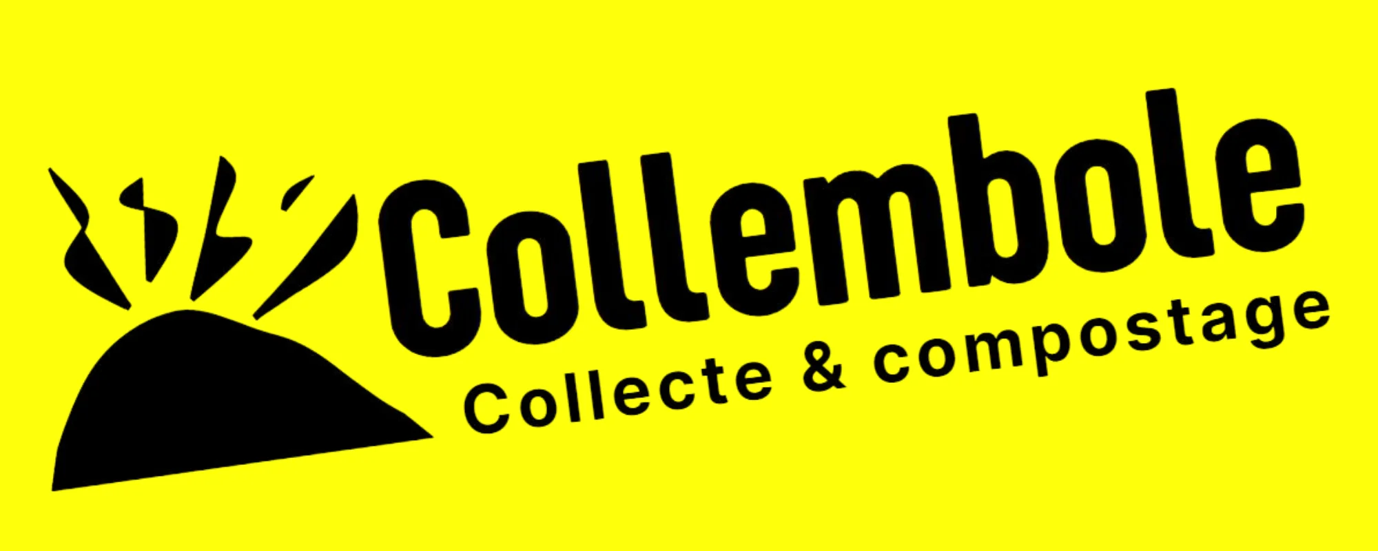 Collembole